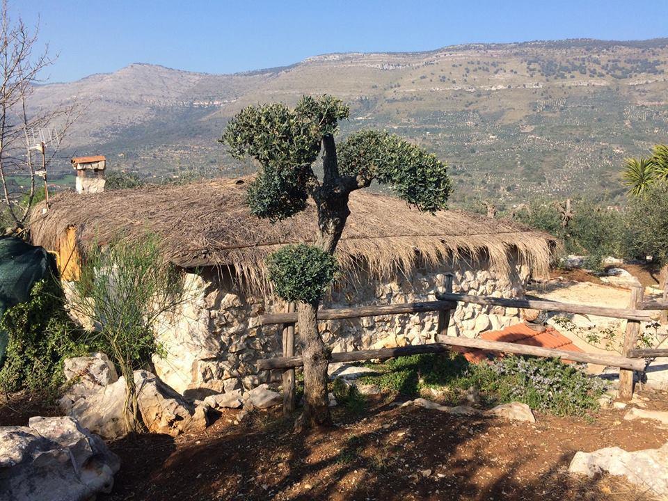 Le Capanne Di Villa Margherita Sonnino Zewnętrze zdjęcie