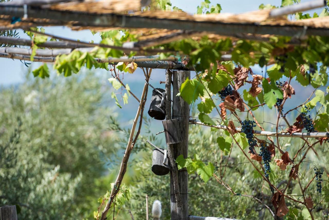 Le Capanne Di Villa Margherita Sonnino Zewnętrze zdjęcie